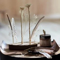 Depot Fleurs Sechees Fleur De Protee Hot