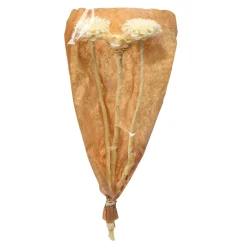 Depot Fleurs Sechees Fleur De Protee Hot