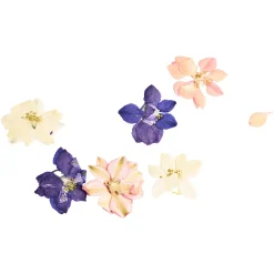 Depot Fleurs Sechees, Melange De Fleurs Printanieres, Pressees