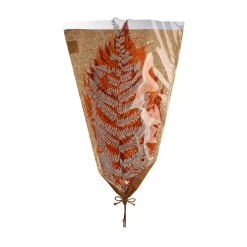 Depot Fougere Branche Seche Clearance