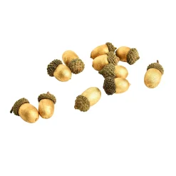 Depot Glands A Disperser