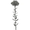 Depot Kunst-Stielblume Protea Ca. 67Cm