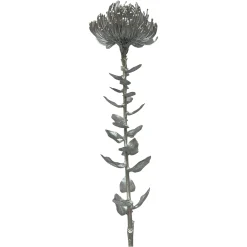 Depot Kunst-Stielblume Protea Ca. 67Cm