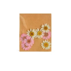 Depot Melange De Fleurs Sechees De Marguerite, Presse