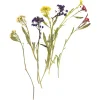 Depot Melange De Fleurs Sechees Et De Fleurs A Tige, Presse