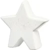 Depot Objet Décoratif Etoile