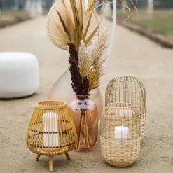 Depot Photophore More Flash Sale