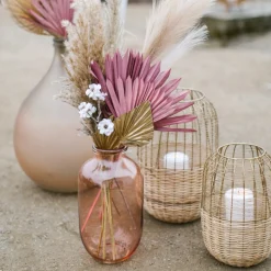 Depot Photophore More Flash Sale