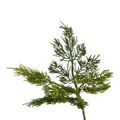 Depot Pique Sapin Artistique Thuya