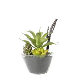 Depot Plante Artificielle Melange De Plantes Succulentes Dans Un Recipient En Verre