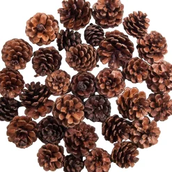 Depot Pomme De Pin Décorative