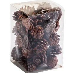 Depot Pomme De Pin Décorative