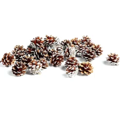 Depot Pomme De Pin Décorative
