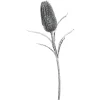 Depot Protea Ca. 70Cm, Silber