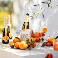 Depot Refroidisseur De Bouteille Optique Clearance