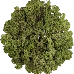 Depot Set De Décoration Christmas Bowl