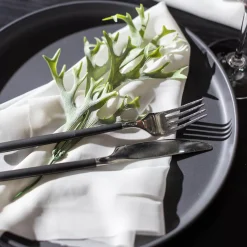 Depot Set De Vaisselle Roca Avec Set De Table Reversible