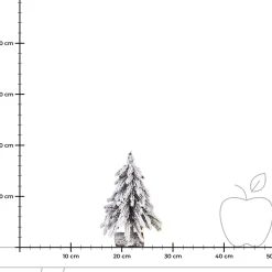 Depot Tannebaum Bescheit Ca.19Cm