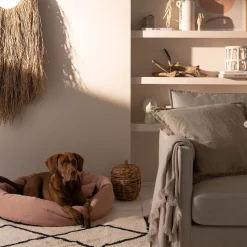 Depot Tapis Xenia Shop