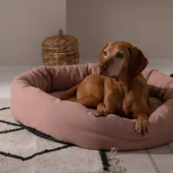 Depot Tapis Xenia Shop