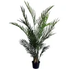 Depot Topfpflanze Arecapalme Ca. 120Cm