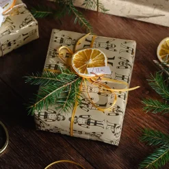 Depot Tranches D'Orange Décoratives