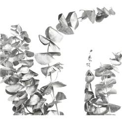 Depot Trockenblume Eukalyptus Ca.55C