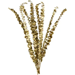 Depot Trockenblume Eukalyptus Ca.55C