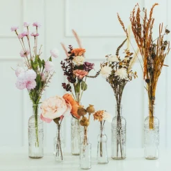 Depot Vase Avec Fleurs Sechees New