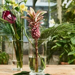 Depot Windlicht Glas Ca.D15Xh25Cm