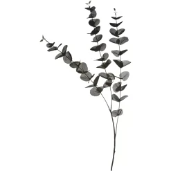 Depot Zweig Eukalyptus Ca.100Cm