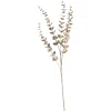 Depot Zweig Eukalyptus Modern Ca.74Cm, Creme