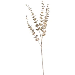 Depot Zweig Eukalyptus Modern Ca.74Cm, Creme